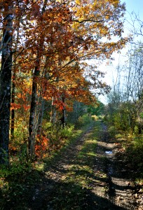 October colors in Maine