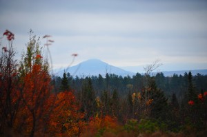 Mountain off in the vista