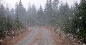 Snow squall - got pretty heavy...