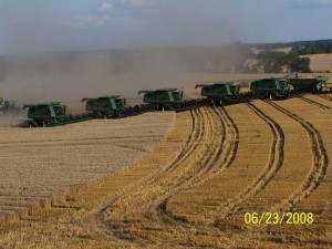 Combines working wheat. 